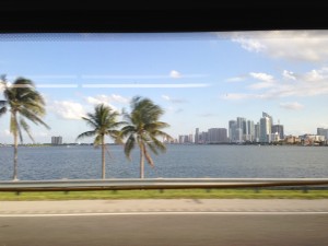 Miami City view